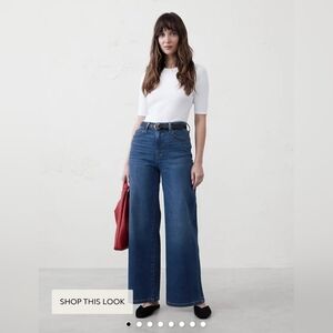 Banana Republic Wide-Leg High-Rise Jean
